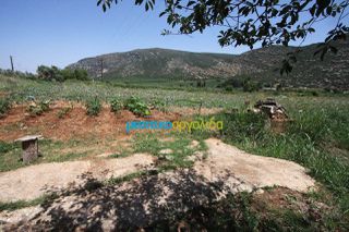 Οικόπεδο 8.000 τ.μ. για πώληση, Κορινθία, Νεμέα-thumb-9