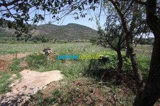Οικόπεδο 8.000 τ.μ. για πώληση, Κορινθία, Νεμέα-thumb-8