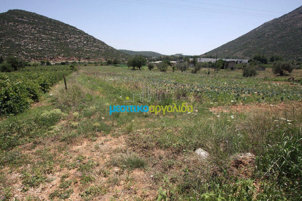 Οικόπεδο 8.000 τ.μ. προς πώληση, Νεμέα