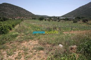 Οικόπεδο 8.000 τ.μ. για πώληση, Κορινθία, Νεμέα-thumb-1