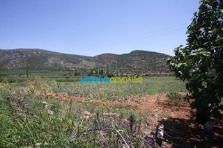 Οικόπεδο 8.000 τ.μ. για πώληση, Κορινθία, Νεμέα-thumb-5