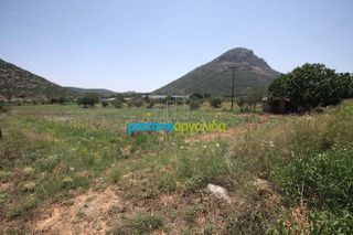 Οικόπεδο 8.000 τ.μ. για πώληση, Κορινθία, Νεμέα-thumb-3