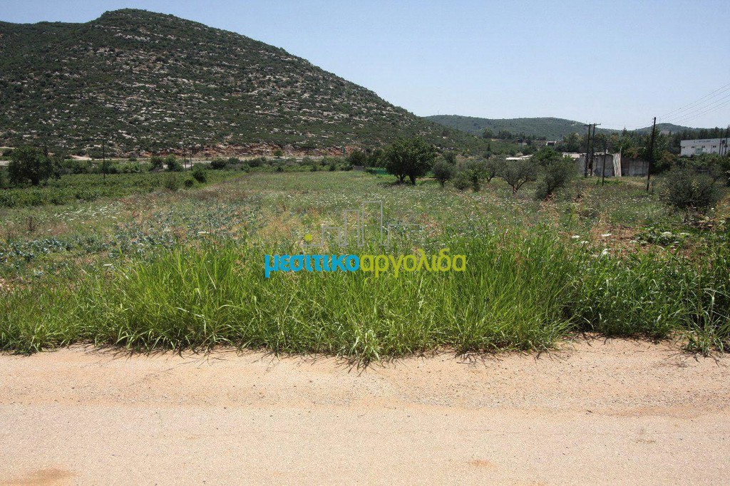 Οικόπεδο 8.000 τ.μ. για πώληση, Κορινθία, Νεμέα