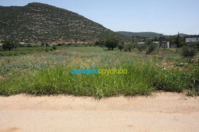 Οικόπεδο 8.000 τ.μ. για πώληση, Κορινθία, Νεμέα