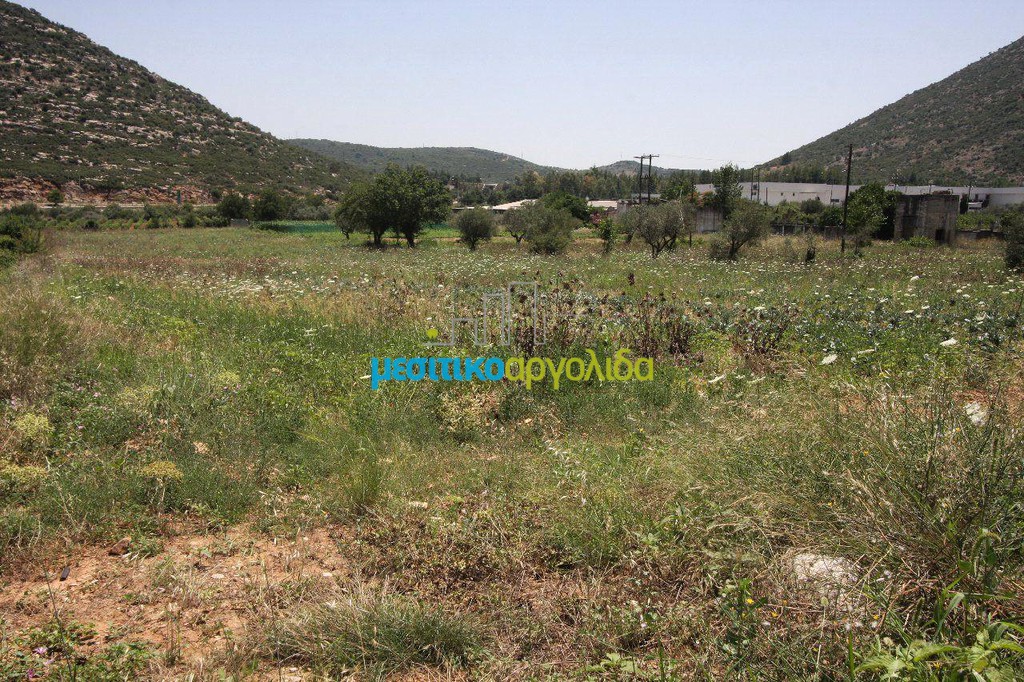 Οικόπεδο 8.000 τ.μ. προς πώληση, Νεμέα
