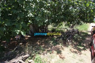 Οικόπεδο 8.000 τ.μ. για πώληση, Κορινθία, Νεμέα-thumb-6