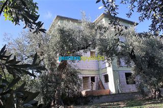 Συγκρότημα διαμερισμάτων 340 τ.μ. για πώληση, Μαγνησία, Αρτέμιδα-thumb-20