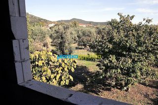 Συγκρότημα διαμερισμάτων 340 τ.μ. για πώληση, Μαγνησία, Αρτέμιδα-thumb-11