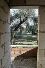 Συγκρότημα διαμερισμάτων 340 τ.μ. για πώληση, Μαγνησία, Αρτέμιδα-thumb-10
