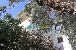 Συγκρότημα διαμερισμάτων 340 τ.μ. για πώληση, Μαγνησία, Αρτέμιδα-thumb-21