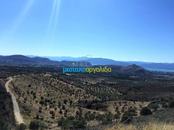Οικόπεδο 22.000 τ.μ. για πώληση, Αργολίδα, Νέα Τίρυνθα