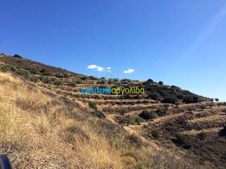 Οικόπεδο 22.000 τ.μ. για πώληση, Αργολίδα, Νέα Τίρυνθα-thumb-3