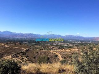 Οικόπεδο 22.000 τ.μ. για πώληση, Αργολίδα, Νέα Τίρυνθα-thumb-7
