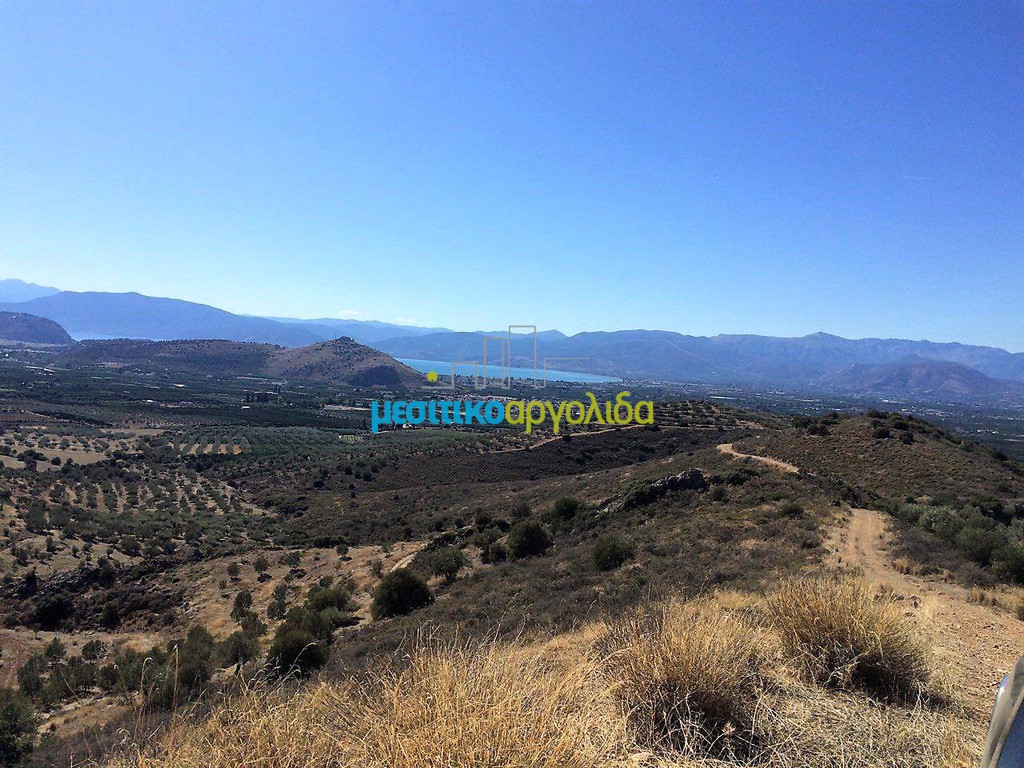 Οικόπεδο 22.000 τ.μ. προς πώληση, Νέα Τίρυνθα