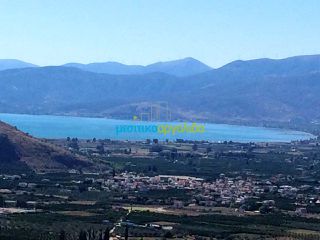 Οικόπεδο 22.000 τ.μ. για πώληση, Αργολίδα, Νέα Τίρυνθα-thumb-10