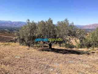 Οικόπεδο 22.000 τ.μ. για πώληση, Αργολίδα, Νέα Τίρυνθα-thumb-15