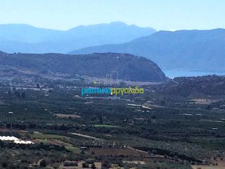 Οικόπεδο 22.000 τ.μ. για πώληση, Αργολίδα, Νέα Τίρυνθα-thumb-4