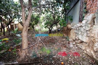 Οικόπεδο 546 τ.μ. για πώληση, Αργολίδα, Άργος-thumb-8