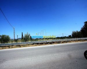 Οικόπεδο 6.932 τ.μ. για πώληση, Αργολίδα, Ασίνη-thumb-9