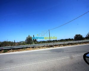 Οικόπεδο 6.932 τ.μ. για πώληση, Αργολίδα, Ασίνη-thumb-7
