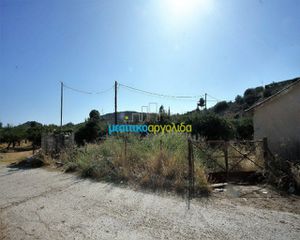 Οικόπεδο 6.932 τ.μ. για πώληση, Αργολίδα, Ασίνη-thumb-2