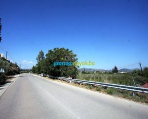 Οικόπεδο 6.932 τ.μ. για πώληση, Αργολίδα, Ασίνη-thumb-17