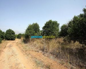 Αγροτεμάχια 2.956 τ.μ. για πώληση, Αργολίδα, Κουτσοπόδι-thumb-5