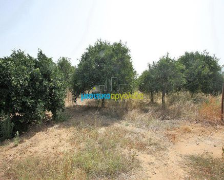Parcel 2.956sqm for sale-Koutsopodi