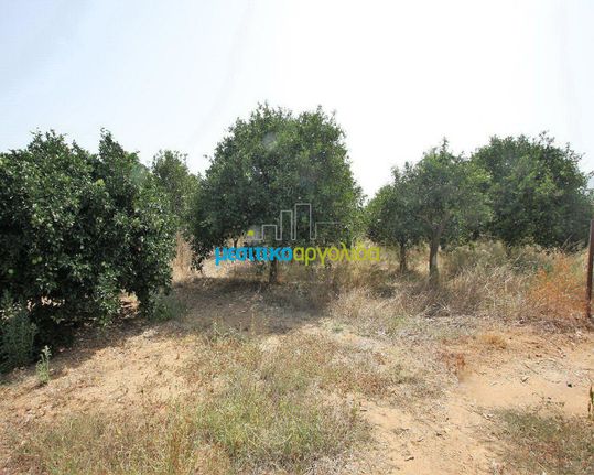 Αγροτεμάχια 2.956 τ.μ. για πώληση, Αργολίδα, Κουτσοπόδι