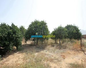 Αγροτεμάχια 2.956 τ.μ. για πώληση, Αργολίδα, Κουτσοπόδι-thumb-1