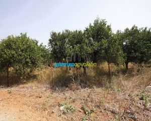 Αγροτεμάχια 2.956 τ.μ. για πώληση, Αργολίδα, Κουτσοπόδι-thumb-7