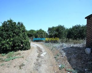 Αγροτεμάχια 2.956 τ.μ. για πώληση, Αργολίδα, Κουτσοπόδι-thumb-8