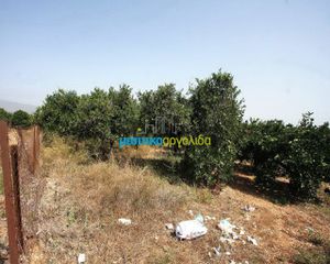 Αγροτεμάχια 2.956 τ.μ. για πώληση, Αργολίδα, Κουτσοπόδι-thumb-9