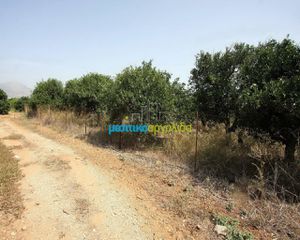Αγροτεμάχια 2.956 τ.μ. για πώληση, Αργολίδα, Κουτσοπόδι-thumb-6
