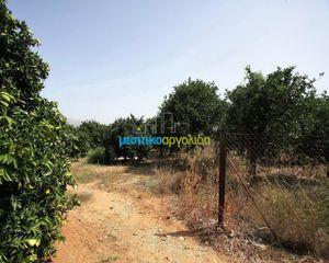 Αγροτεμάχια 2.956 τ.μ. για πώληση, Αργολίδα, Κουτσοπόδι-thumb-4