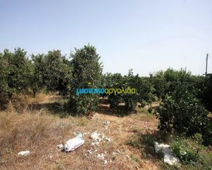 Αγροτεμάχια 2.956 τ.μ. για πώληση, Αργολίδα, Κουτσοπόδι-thumb-10