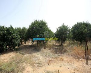 Αγροτεμάχια 2.956 τ.μ. για πώληση, Αργολίδα, Κουτσοπόδι-thumb-2