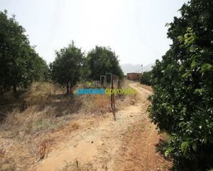 Αγροτεμάχια 2.956 τ.μ. για πώληση, Αργολίδα, Κουτσοπόδι-thumb-3