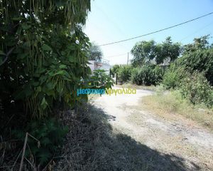 Οικόπεδο 462 τ.μ. για πώληση, Αργολίδα, Άργος-thumb-7