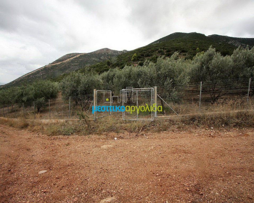 Αγροτεμάχια 7.232 τ.μ. για πώληση, Αργολίδα, Κουτσοπόδι