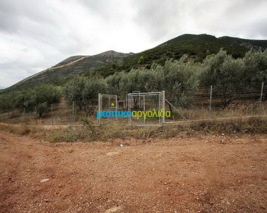 Αγροτεμάχια 7.232 τ.μ. για πώληση, Αργολίδα, Κουτσοπόδι