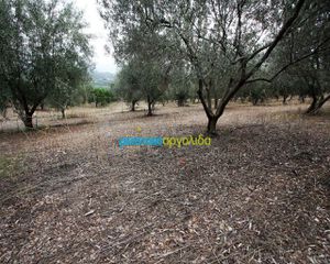 Αγροτεμάχια 7.232 τ.μ. για πώληση, Αργολίδα, Κουτσοπόδι-thumb-8