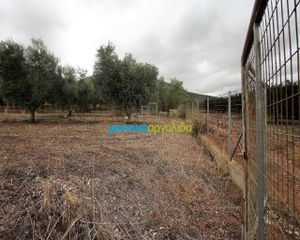 Αγροτεμάχια 7.232 τ.μ. για πώληση, Αργολίδα, Κουτσοπόδι-thumb-15