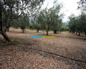 Αγροτεμάχια 7.232 τ.μ. για πώληση, Αργολίδα, Κουτσοπόδι-thumb-12