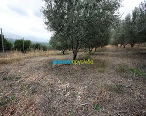 Αγροτεμάχια 7.232 τ.μ. για πώληση, Αργολίδα, Κουτσοπόδι-thumb-5