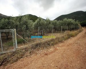 Αγροτεμάχια 7.232 τ.μ. για πώληση, Αργολίδα, Κουτσοπόδι-thumb-2