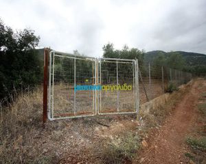 Αγροτεμάχια 7.232 τ.μ. για πώληση, Αργολίδα, Κουτσοπόδι-thumb-13