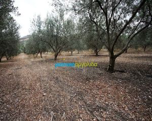 Αγροτεμάχια 7.232 τ.μ. για πώληση, Αργολίδα, Κουτσοπόδι-thumb-6