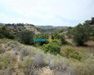 Οικόπεδο 31.092 τ.μ. για πώληση, Αργολίδα, Κρανίδι-thumb-4