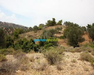 Οικόπεδο 31.092 τ.μ. για πώληση, Αργολίδα, Κρανίδι-thumb-9